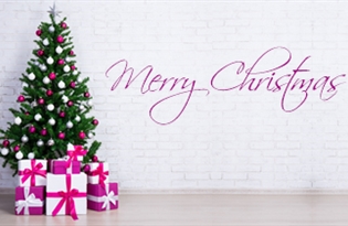 Merry Christmas from the Amari Visual Solutions Team